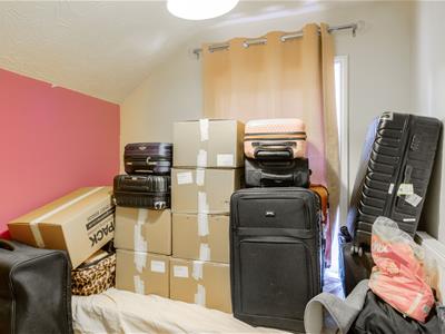 Picture 8